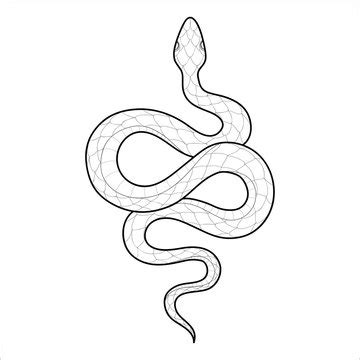 Snake Drawing : How To Draw A Snake Step By Step For Kids Beginners - Learn how to draw snake ...