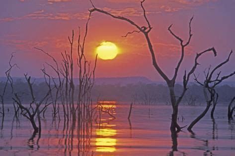 'Lake Kariba Sunset over Drowned Trees' Photographic Print | Art.com ...