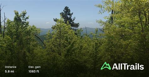 Fire Mountain Trail System , North Carolina - 255 Reviews, Map | AllTrails