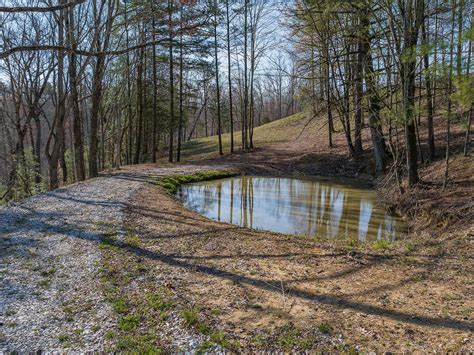 7190 Se Taulbee Trl Lot 6 Pine Ridge Ky 41360 Mls 24005289 Zillow