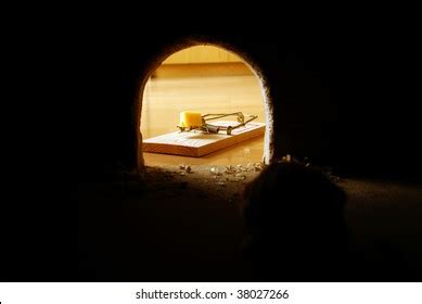 3,259 Rat hole Images, Stock Photos & Vectors | Shutterstock