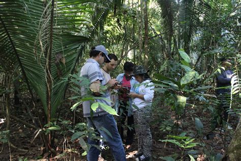 Debates Sobre O Uso De Agrot Xicos E Capacita O Para A Comunidade