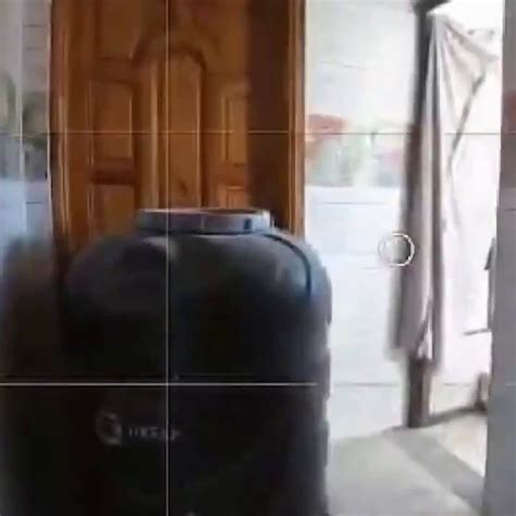 Es Rosal A Una Cantante Latina Infobae