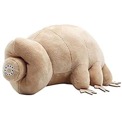 Peluche Tardigrade De Pouces Poup E En Peluche Ours D Eau Mignon