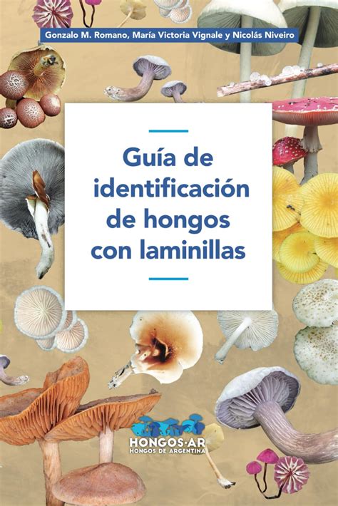 Gu A De Identificaci N De Hongos Con Laminillas Guias De