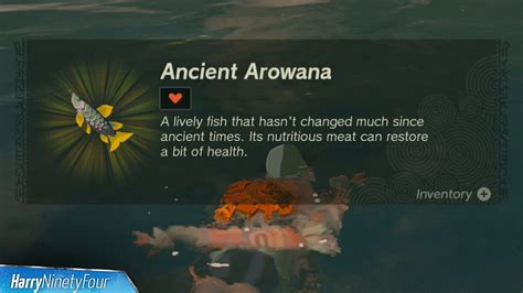 Zelda Tears Of The Kingdom Ancient Arowana Location Guide Youtube