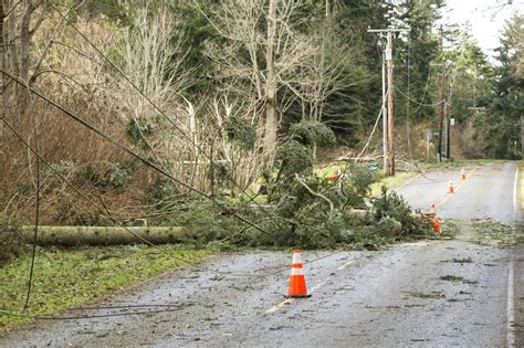 When Nature Strikes How To Solve Power Outages From Fallen Trees