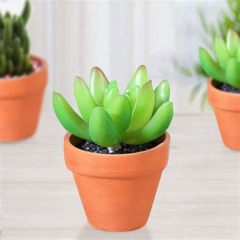 Lot De 20 Mini Pots En Terre Cuite Pour Plantes En Terre Cuite Cactus