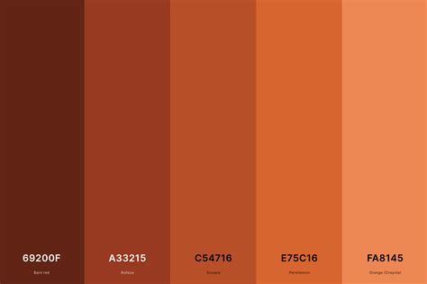 20+ Best Terracotta Color Palettes with Names and Hex Codes ...