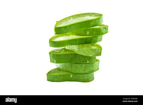 Slice Aloe Vera Aloe Barbadensis Mill Star Cactus Aloin Jafferabad