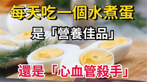 每天吃一個水煮蛋的人，後來怎麼樣了？是「營養佳品」還是「心血管殺手」？很多老人後悔看晚了【佛學講堂】 Youtube