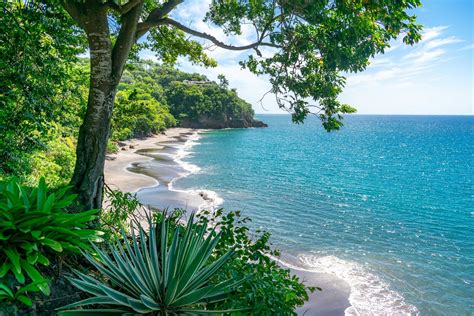 Royal View of Woodlands Beach from Mango Falls, Montserrat
