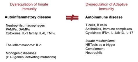 Lecture 5 Mechanisms Of Autoimmunity Flashcards Quizlet