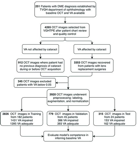 Flowchart Showing The Selection Of Optical Coherence Tomography Oct