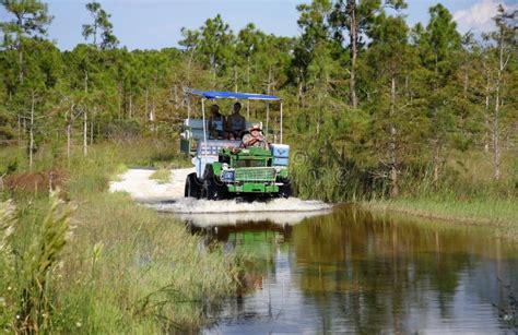 Everglades Swamp Buggy Tour Editorial Photography - Image of glades ...