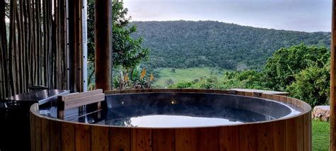 Nguni Self Catering Chalet Thunzi Bush Lodge Port Elizabeth