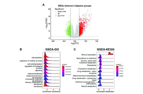 Deg Identification And Related Functional Analyses A Volcano Plot Of