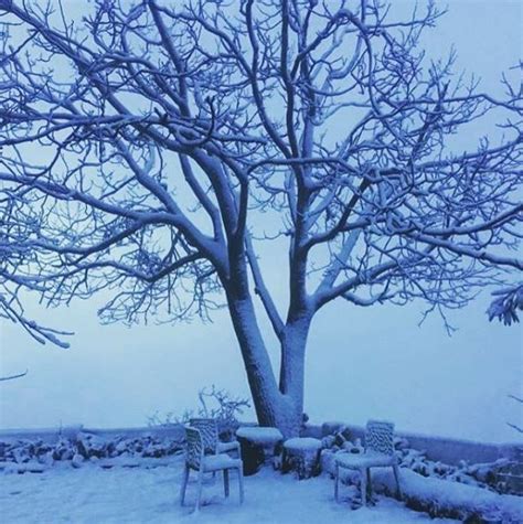 Snowfall In Mussoorie After 19 Years Looks As Magical As Youd Expect