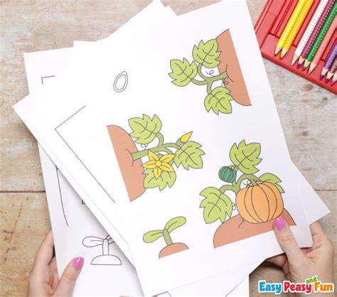 3D Pumpkin Life Cycle Craft - Easy Peasy and Fun