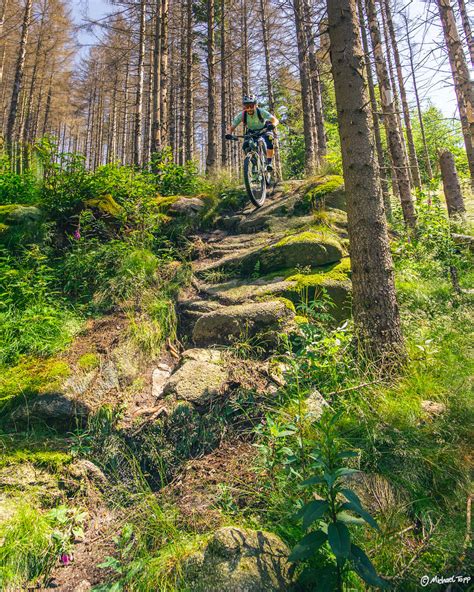 2023 06 24 Harz 7 Michael Topp Flickr