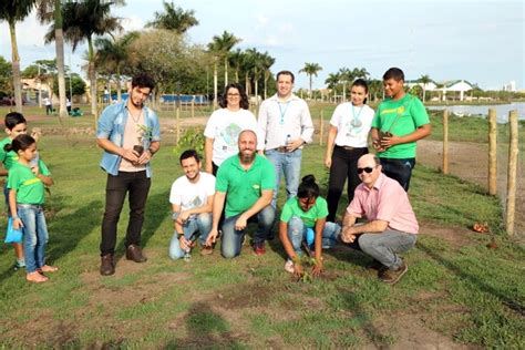 Prefeitura de Três Lagoas e parceiros plantaram mais de 20 mil árvores