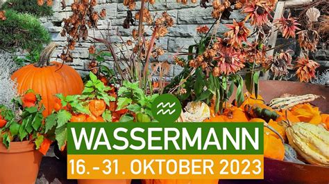 WASSERMANN ES GELINGT 16 31 OKTOBER 2023 TAROT