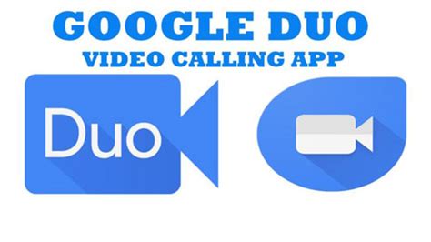 Google download duo - masopest