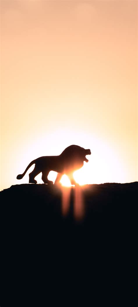 1080x2400 Lion Roaring On Top Of Mountain 5k Google Pixel 7 ,HD 4k ...