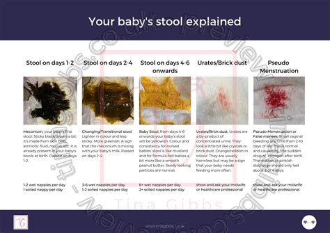 Your Babys Stool Handout Tina Gibbs Perinatal Education