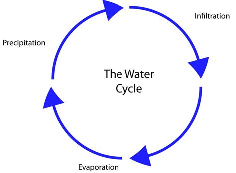 Diagram of the water cycle | WaterShed at the University of Maryland ...