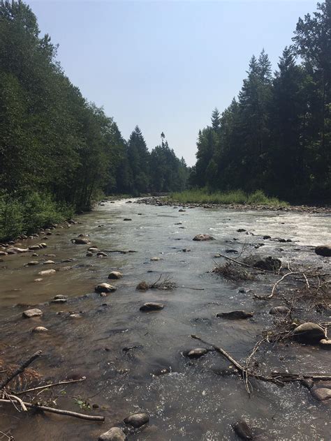 My uncle lives in Sandy, Oregon. This is his backyard : r/PacificNorthwest