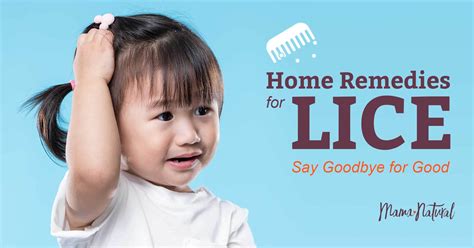 Home Remedies for Lice: Say Goodbye for Good - Mama Natural