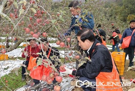 충주시 우박 피해 농가 방문사과 수확 일손 도와