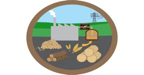 Biomass Power or Biomass Energy - Assignment Point