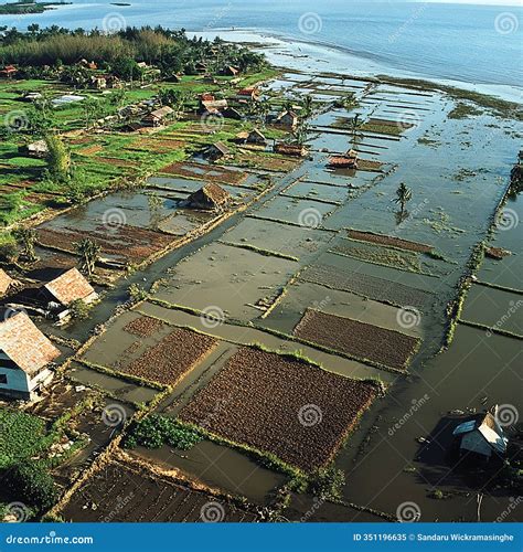 Devastating Effects of a Tsunami Disaster on Coastal Areas" Stock