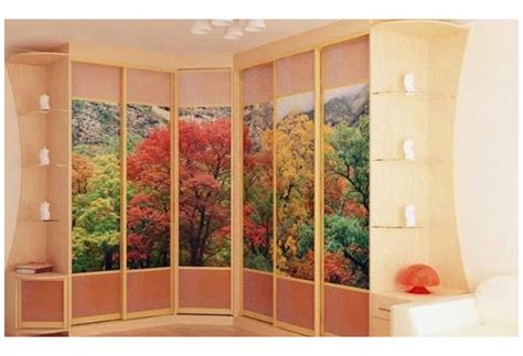 Шкаф-купе угловой с боковыми полками и фотопечатью – купить Угловые ...