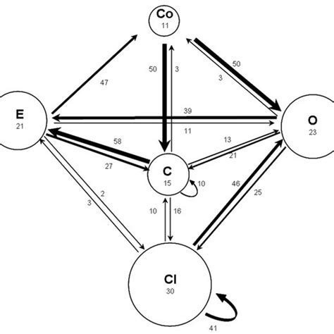 Ethogram Of The Male Courtship Between Sexually Mature Virgin