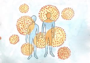 The Duality Of Sex Differences Sex Plays A Role In Both Covid Immune Response And The