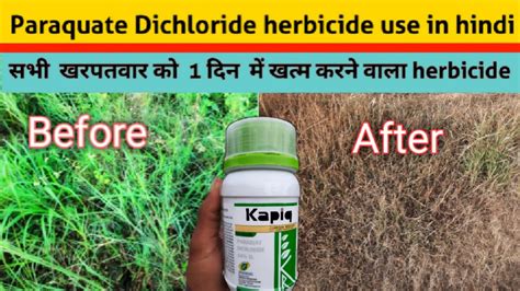 Paraquat Dichloride Sl Herbicide Use In Hindi Paraquat Herbicide In