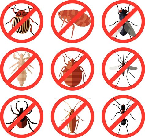 Protect Your Home From Insects This Summer