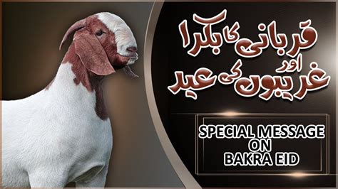 Qurbani Ka Bakra Aur Ghareebon Ki Eid Special Message On Bakra Eid By