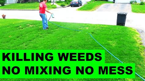 How To Get Rid Of Weeds In The Lawn Youtube