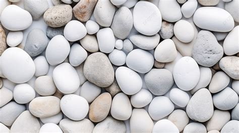 Garden And Landscape Enhancement Top View Of Large White Smooth Stones