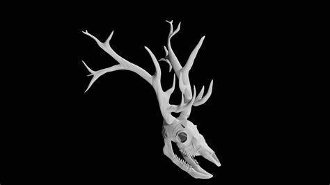 Deer Skull 3d Model Low Poly Ar Vr Team 3d Yard