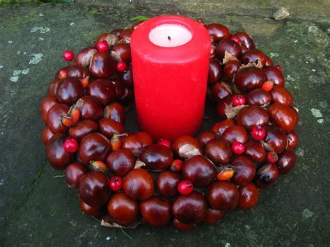 What to do with conkers | Conkers craft, Conkers, Buckeye crafts