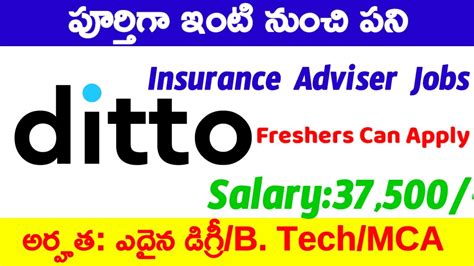 Ditto Latest Recruitment Insurance Adviser Jobs In Work From Home