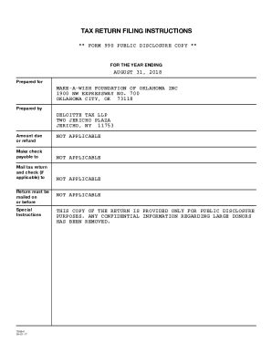 Fillable Online Instructions For Form N And Ez Pta