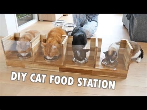 I Built A Custom Cat Feeding Station YouTube