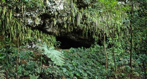 Smiths Fern Grotto Tours Wailua River Kauai