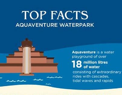 Aquaventure Projects Photos Videos Logos Illustrations And